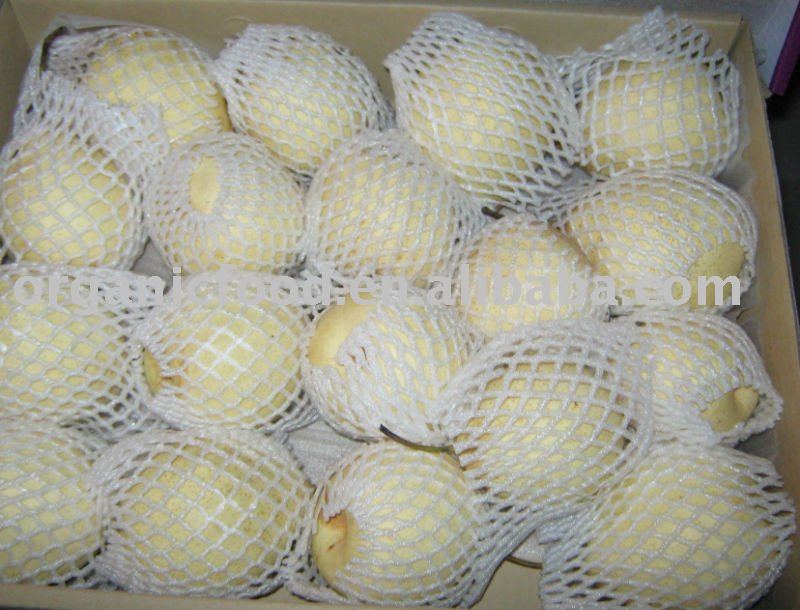 chinese fresh pear