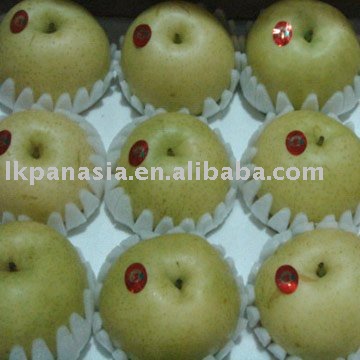 Golden Pear