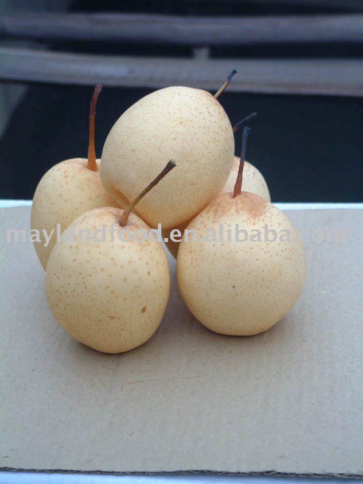 Shelled Almond