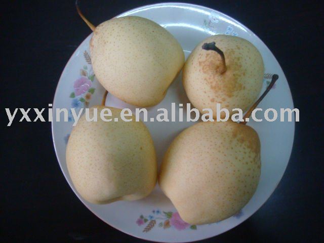 Fresh Ya Pear,from yangxin county