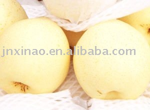 2010chinese fresh delicious pear