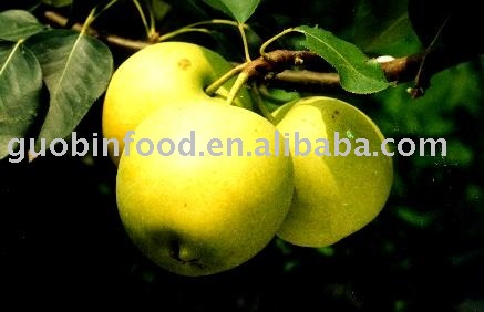 FRESH PEAR