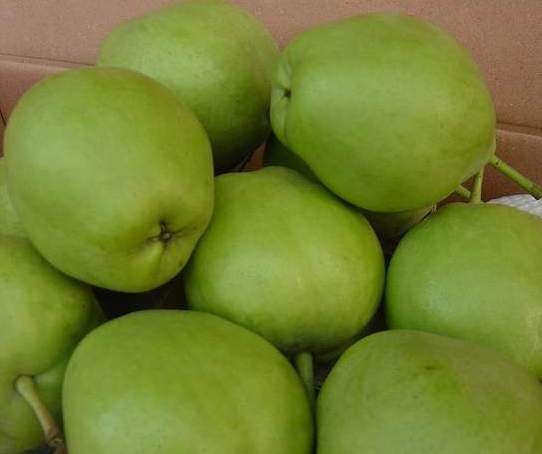 zao su pear