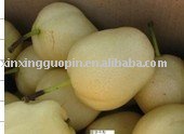 Su Pear