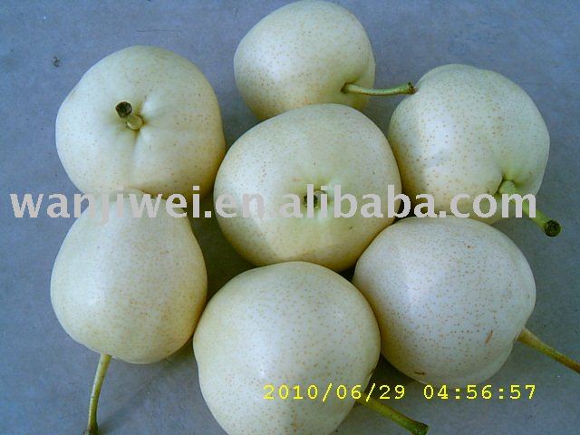 SU PEAR