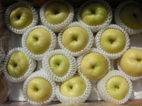 chinese ya pears
