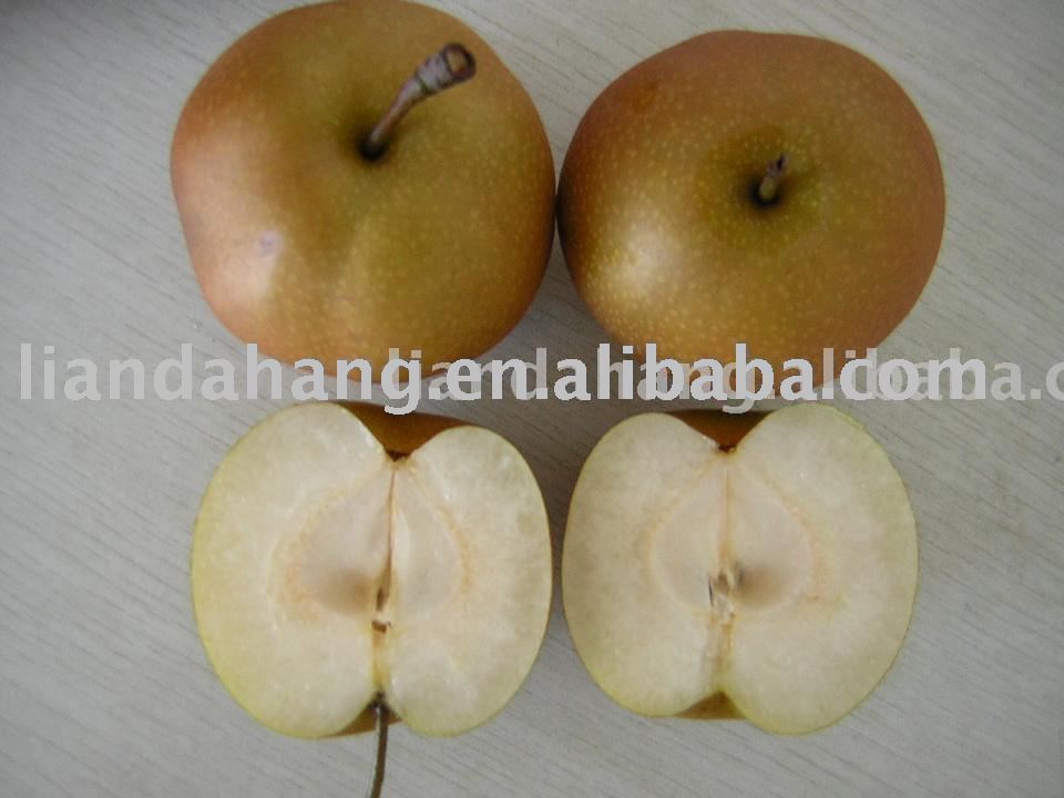 Fengshui Pear, Golden Pear