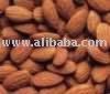 ALMOND SEED