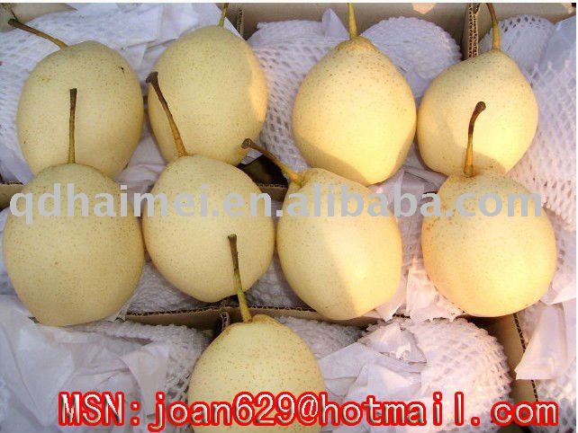 China            ya pear