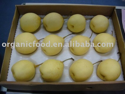 Fresh healthy Ya pear