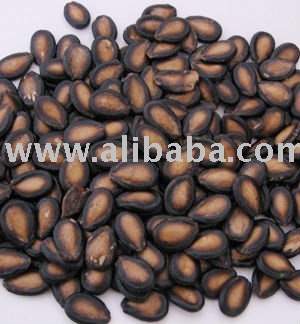 MELON SEEDS