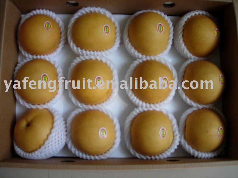 Hebei Fengshui Pear