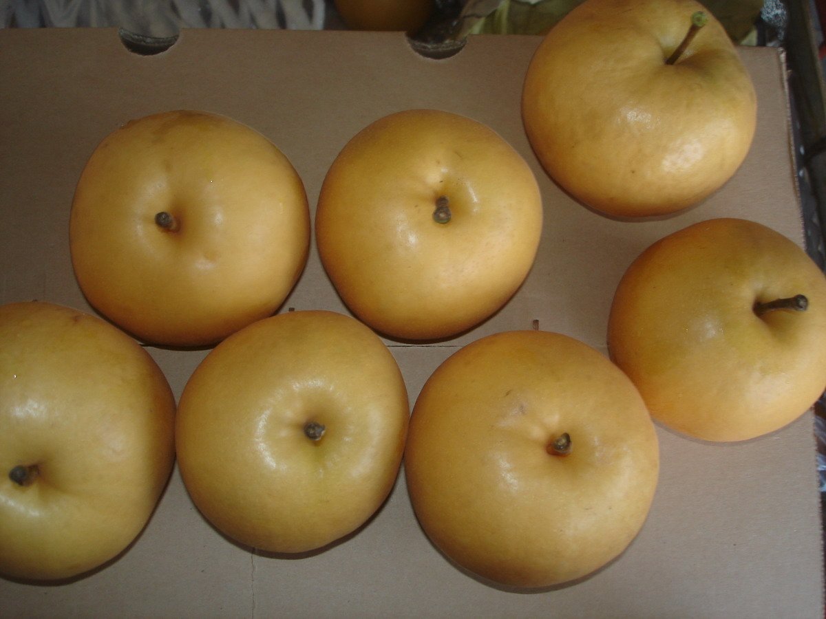 yuan huang pear