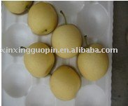 Crown Pear