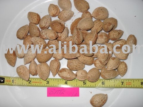 Inshell Almonds