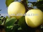 fresh pear