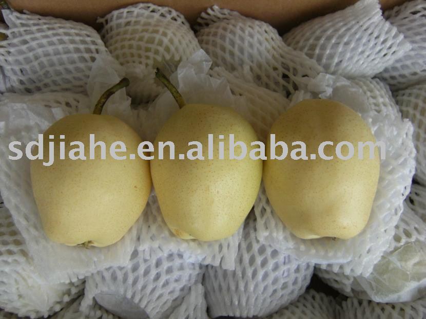 golden pear