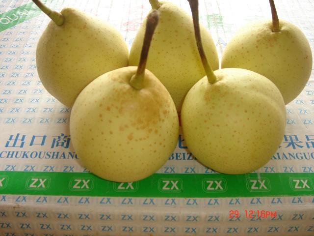 Ya pear