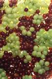 white grape & red grape juice concentrate