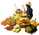 producing various of fruit juice concentrate