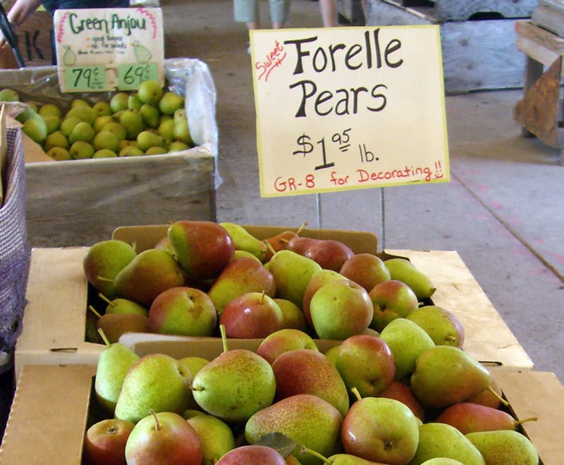 fresh pear