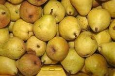 PEARS