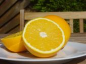 orange  Beverages  concentrate