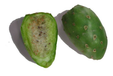 Cactus Pear