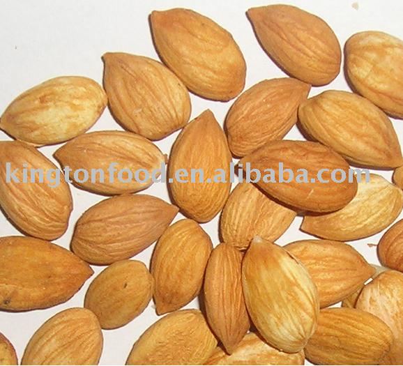 chinese sweet almond