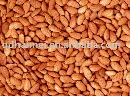 raw bitter almonds
