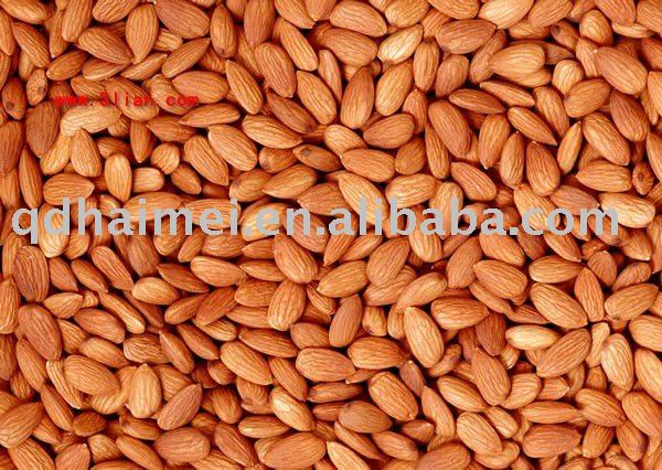 chinese fresh raw almond