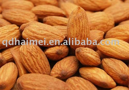 2011Chinese raw bitter Almonds