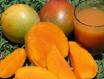  Apple ,  Mango , Orange Nectar Beverages