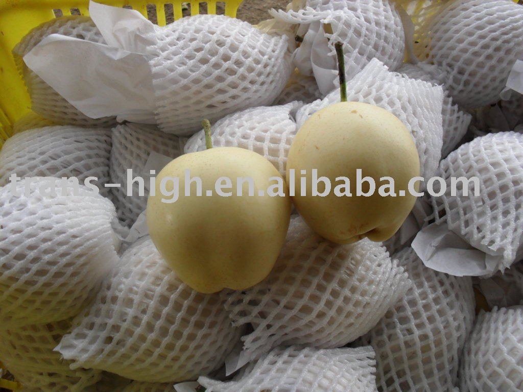 zao su   pear  ( early   su   pear )