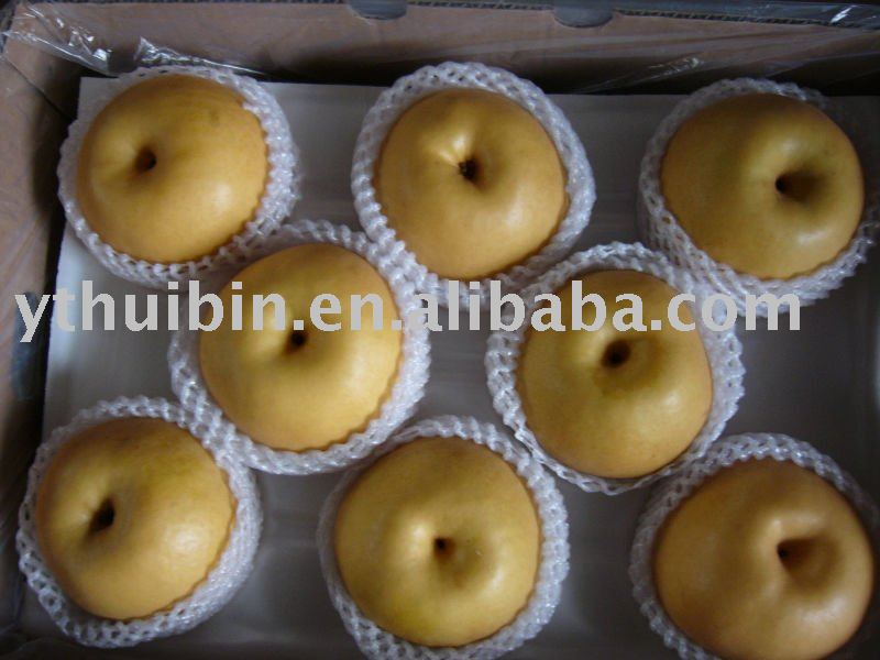 Crispy Singo Pear