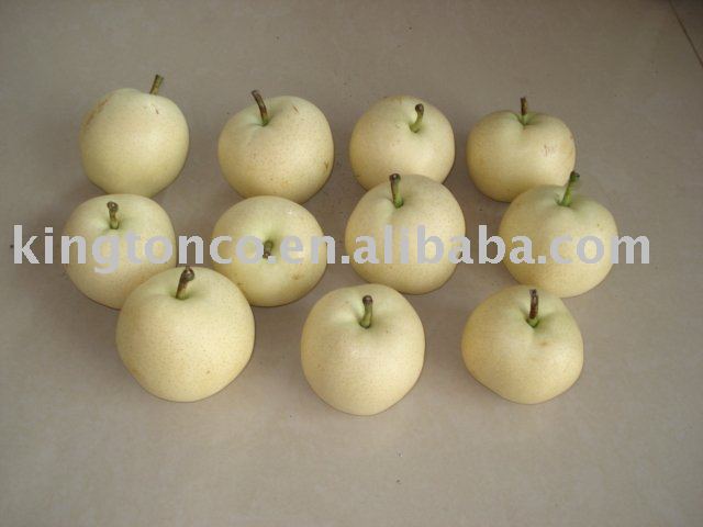  new   crop  pear
