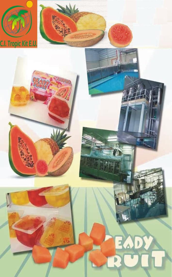 Frozen And Fruit Pulps