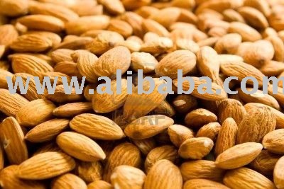Fresh  raw  Almond nuts