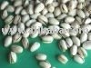 Roasted and salted pistachio nuts call -  00237 7016 7569