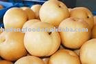 Fengshui pear