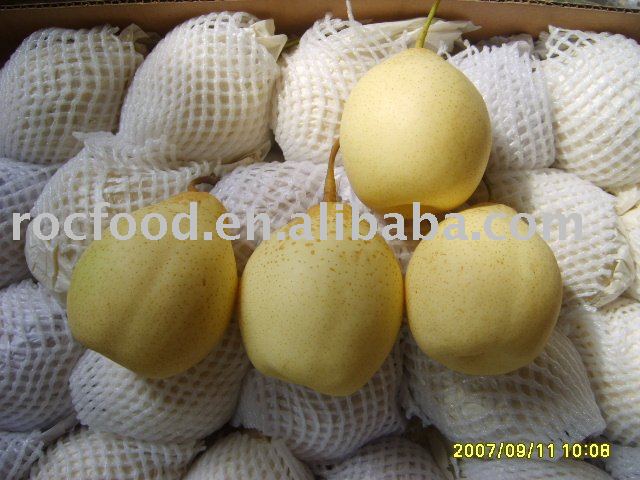 Ya Pear