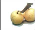 Guava Pulp