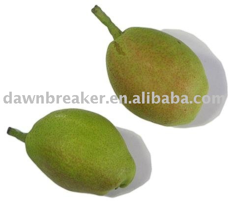 Chinese Fragrant Pears