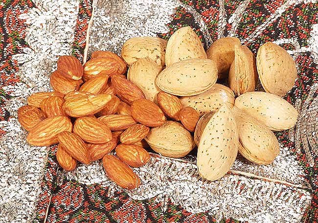 bitter-almond-iran-price-supplier-21food