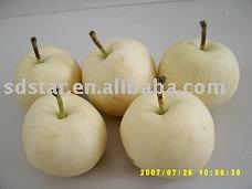 sell chinese pear