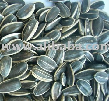 RAW  ORGANIC   SUNFLOWER  KERNEL