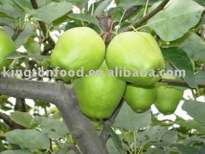 early su  pear