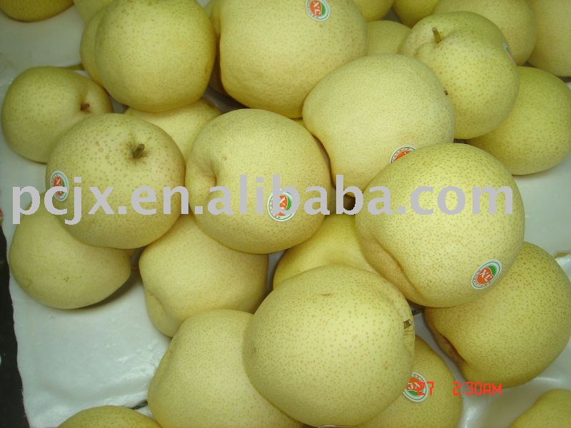 The Hometown of Chinese Su pear----Pucheng County