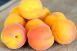 Apple,Apricot & Peach Puree