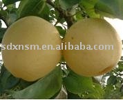  White  Pear